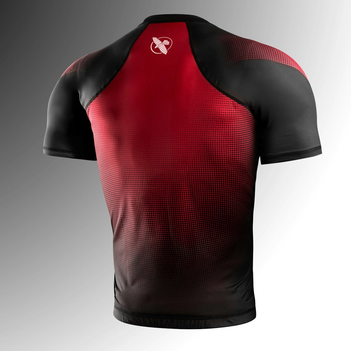 HAYABUSA T