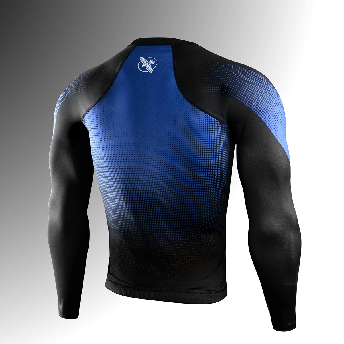 HAYABUSA T