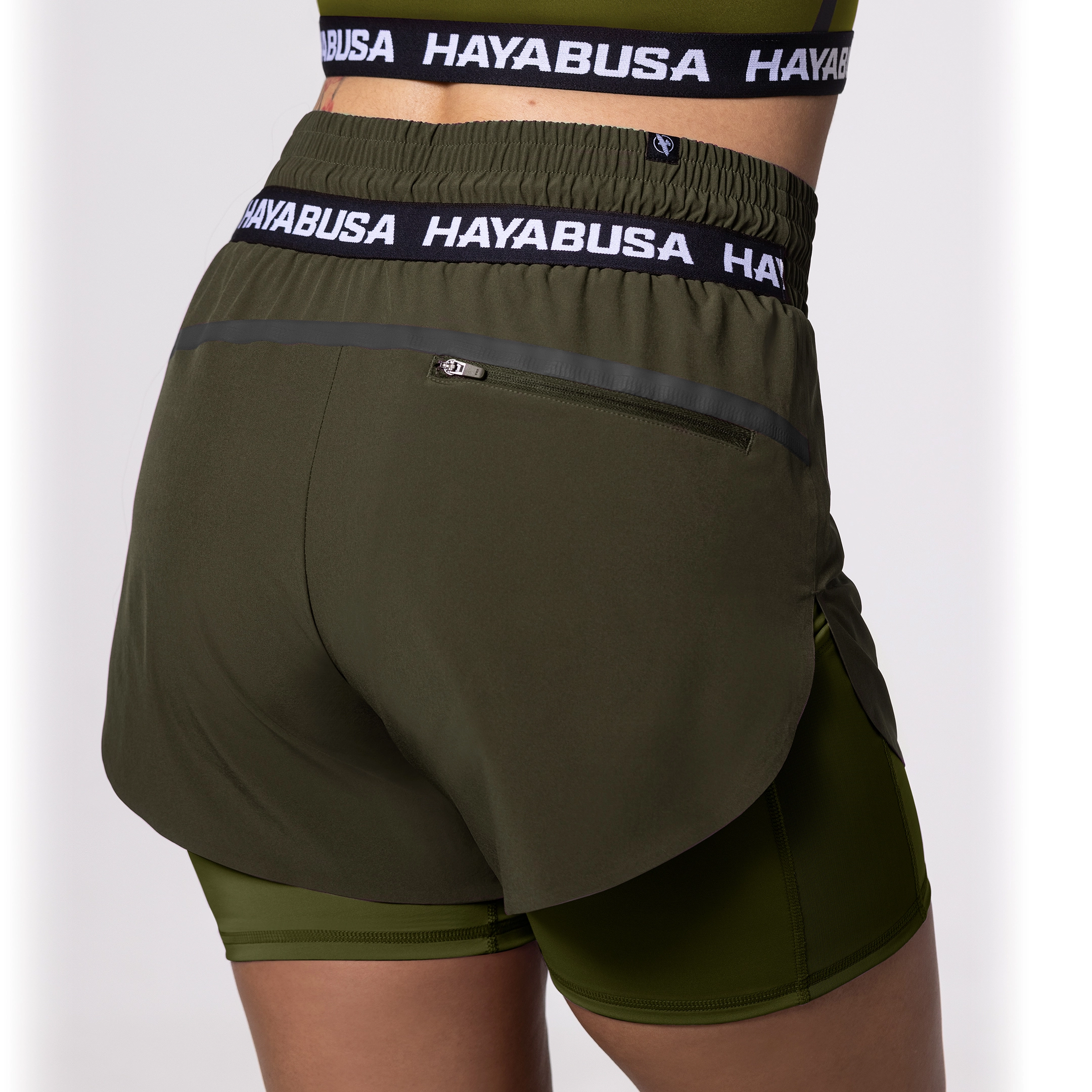 HAYABUSA