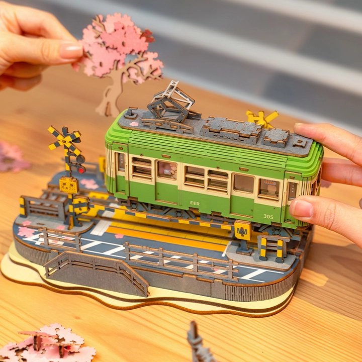 Rolife diy 223pcs TGS02