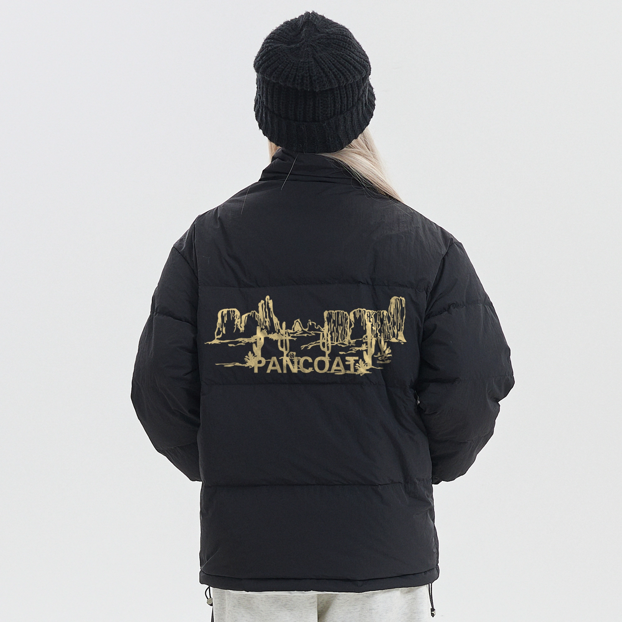 Pancoat Logo