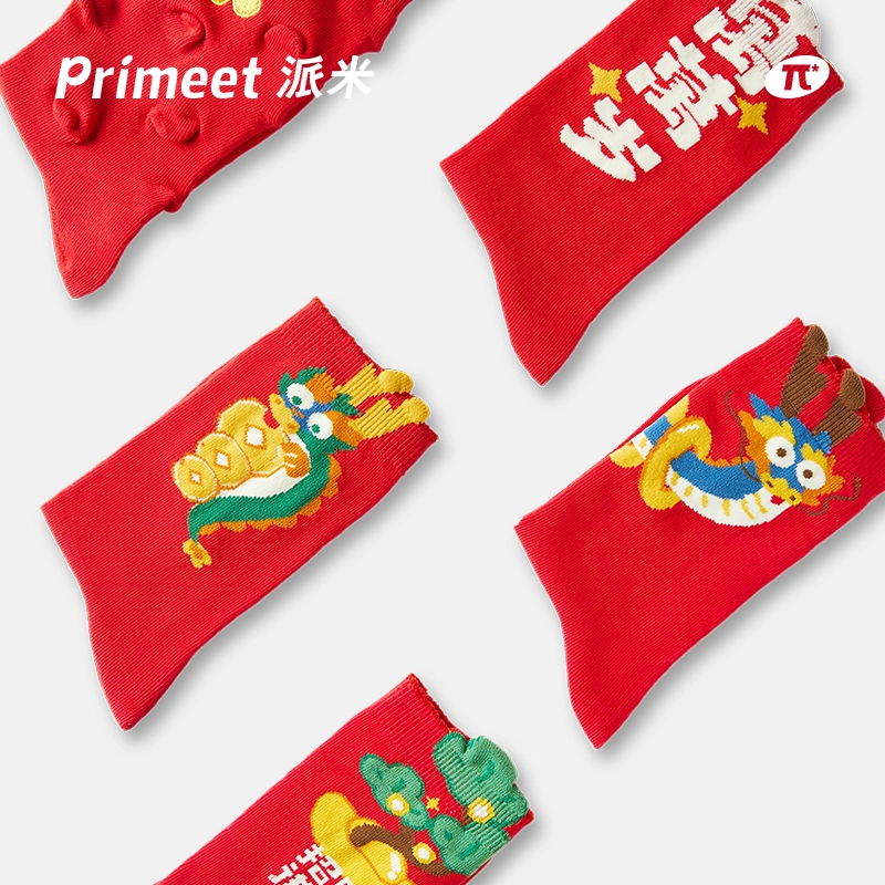 Primeet 2024 5