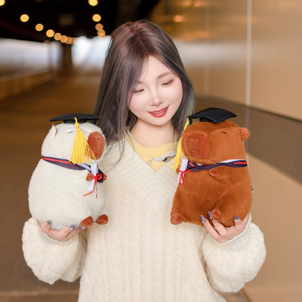 23cm