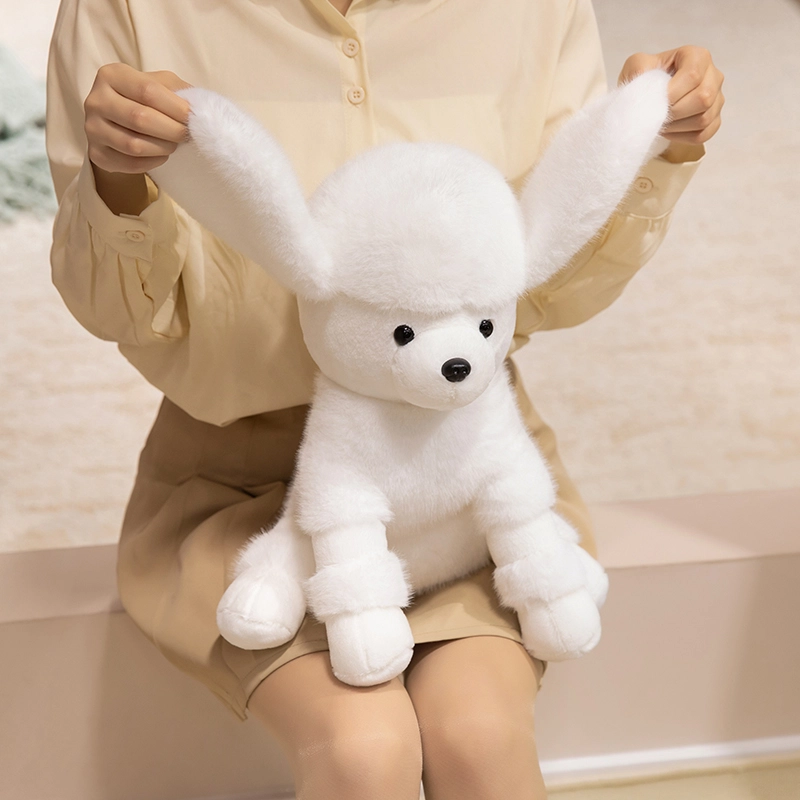 25cm35cm
