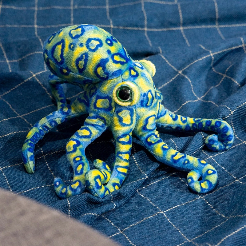 lionf 30cm
