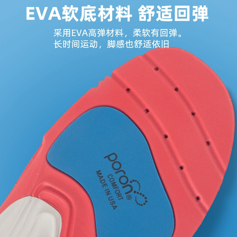 Kawasaki EVA