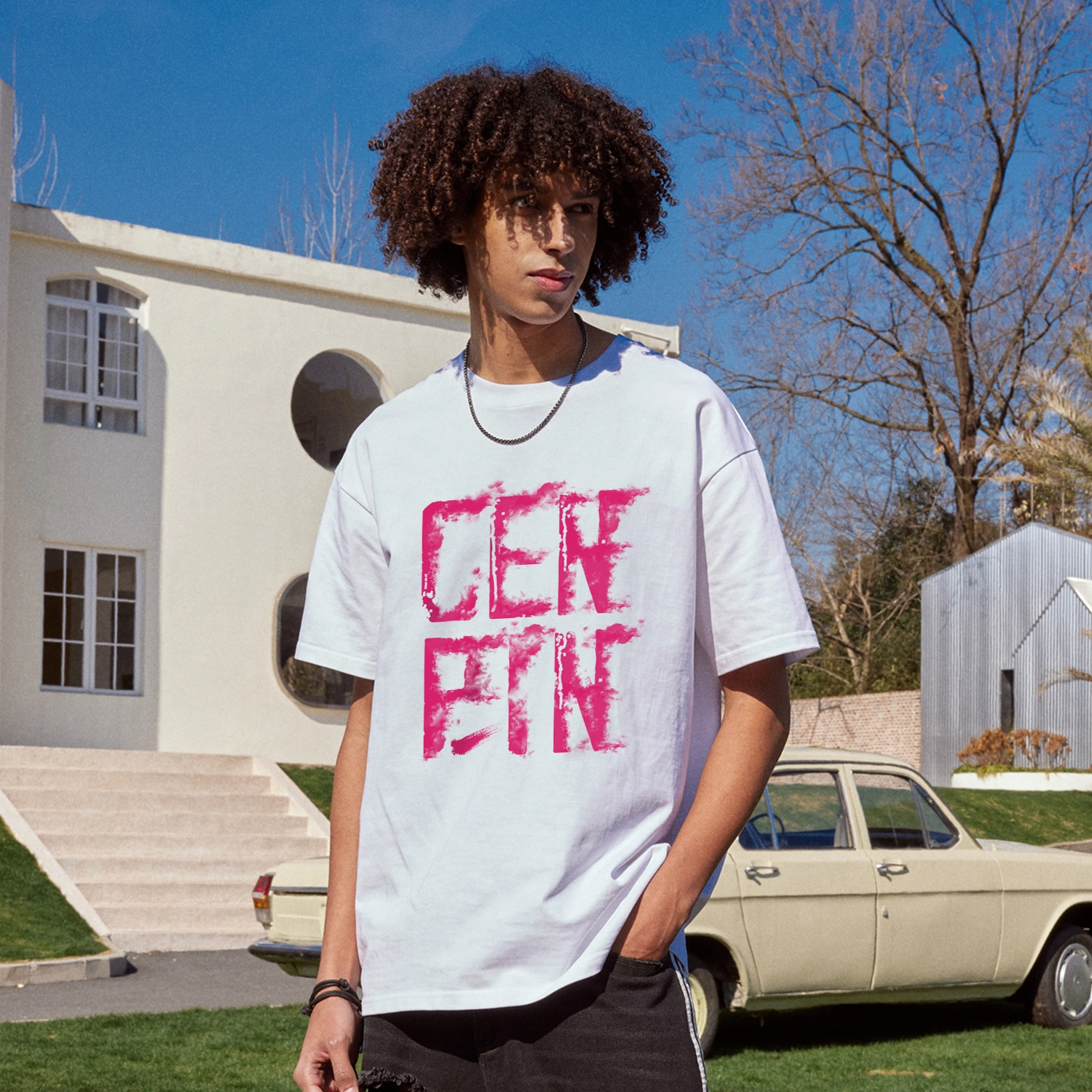 CENPIN T