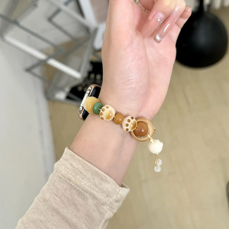 CHENSONG watchfit3fit2mini