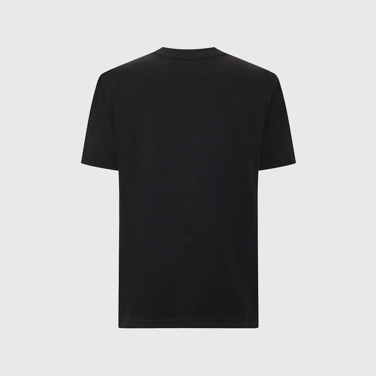 Cavalli Class T