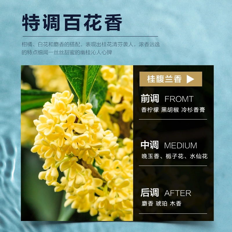 475ml*2475ml*3