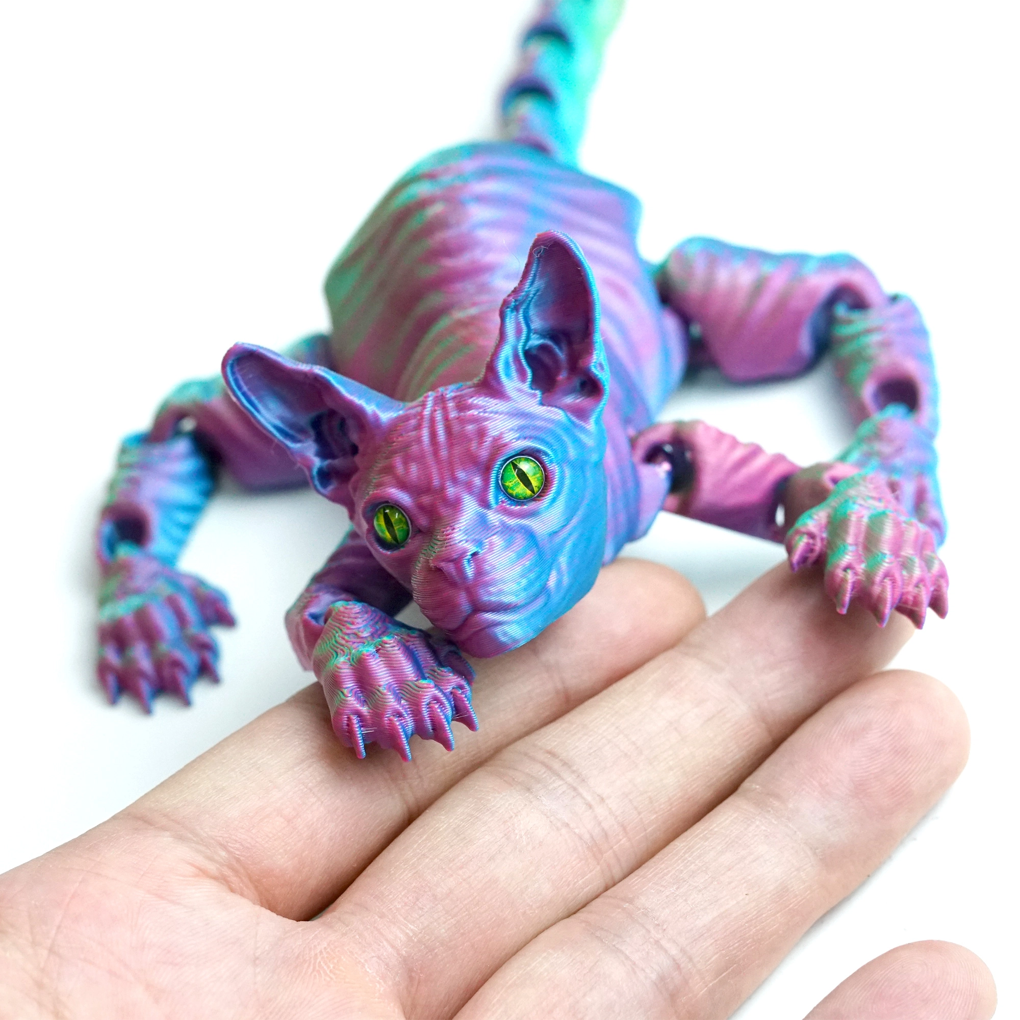 3D 24.5cm