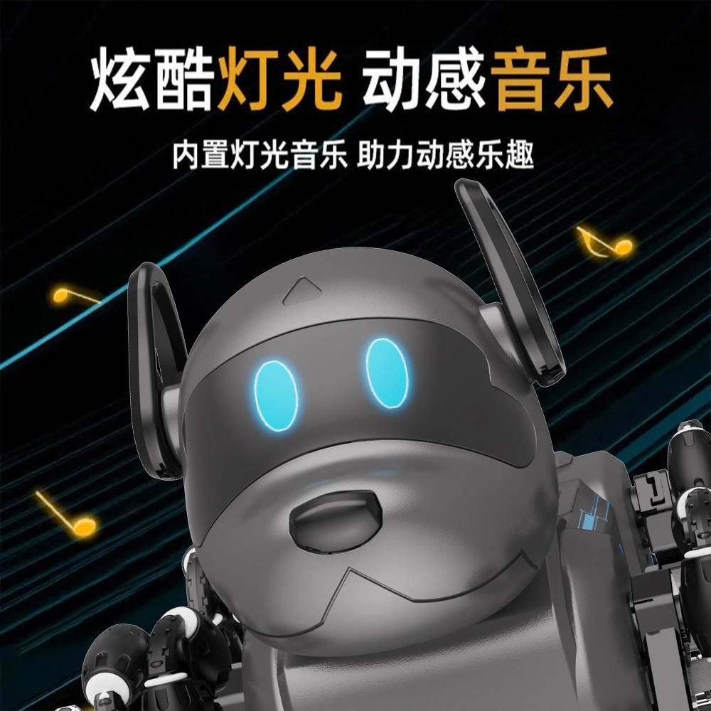 SNAEN 2.4GHz