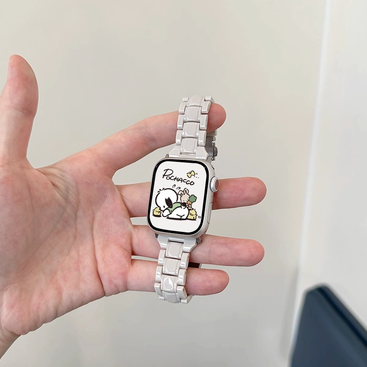 applewatchs9iWatchs87se PC