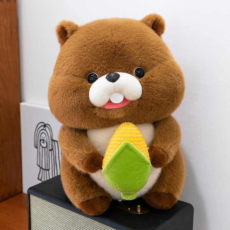 20cm40cm