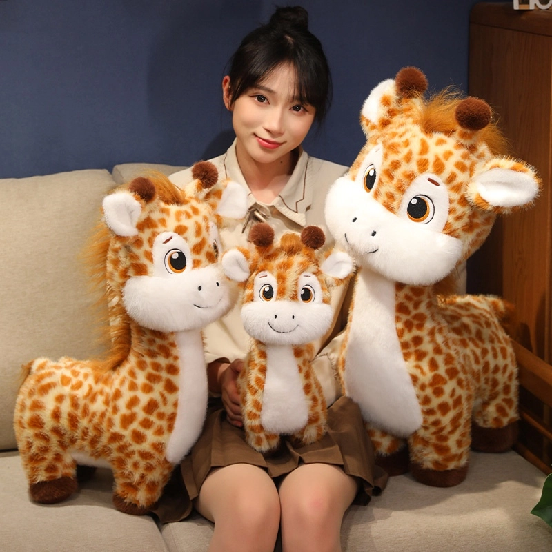 30cm50cm65cm