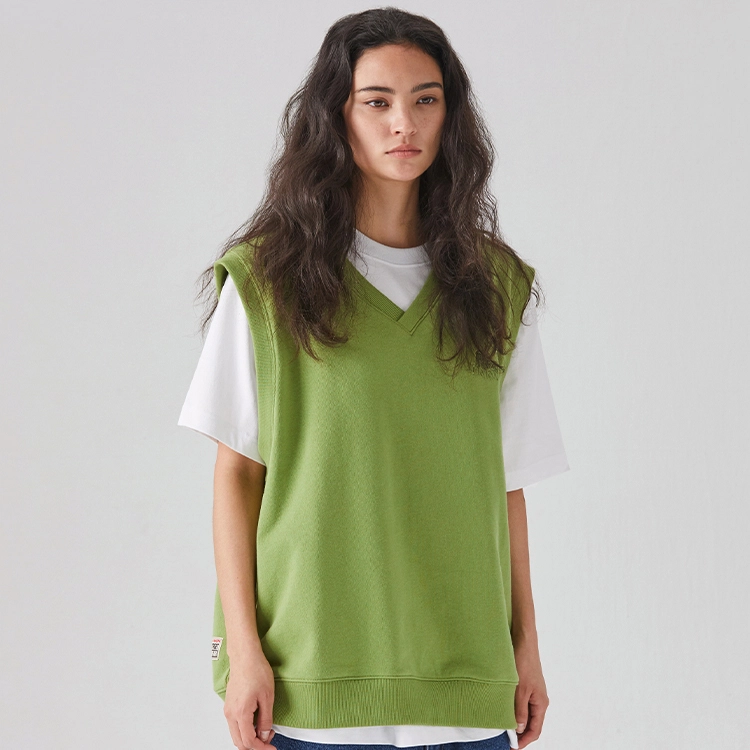 Vision Street Wear V
