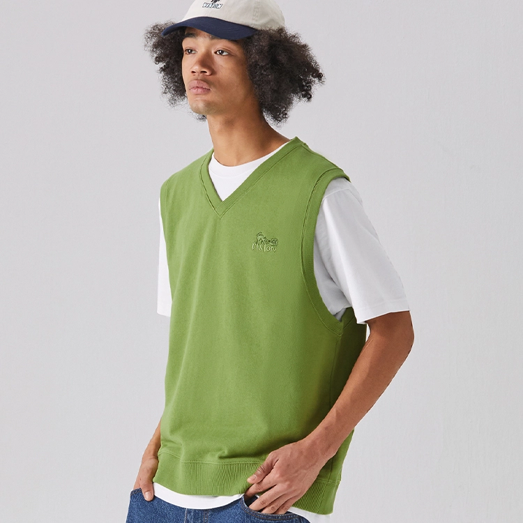 Vision Street Wear V