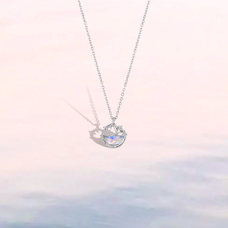 RURA s999 ins