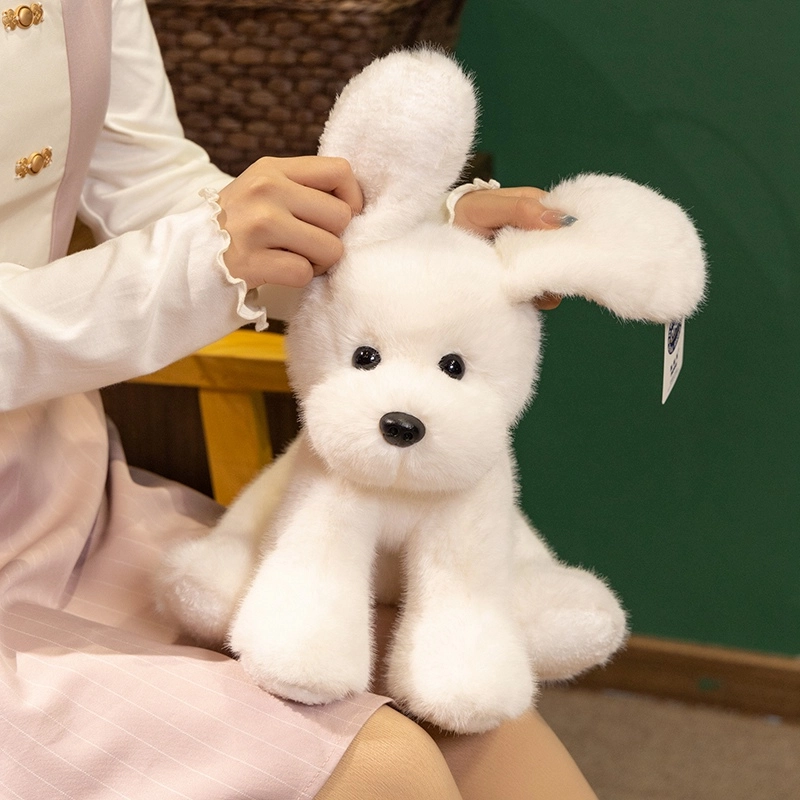 25cm35cm