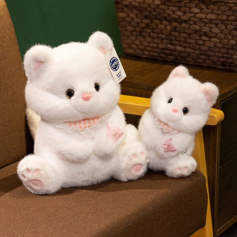 25cm35cm