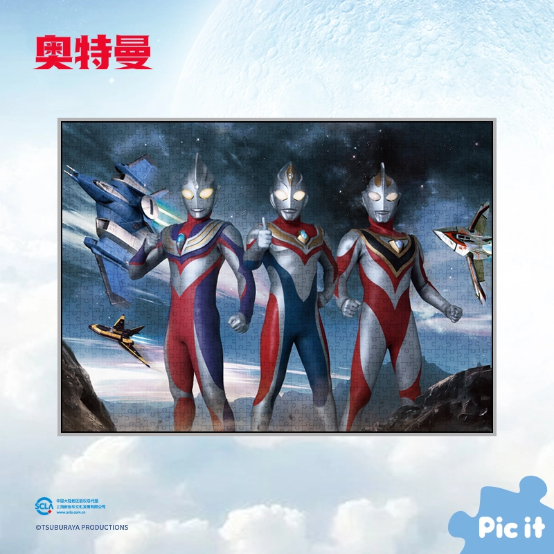 pic it TDG25 1000 pcs