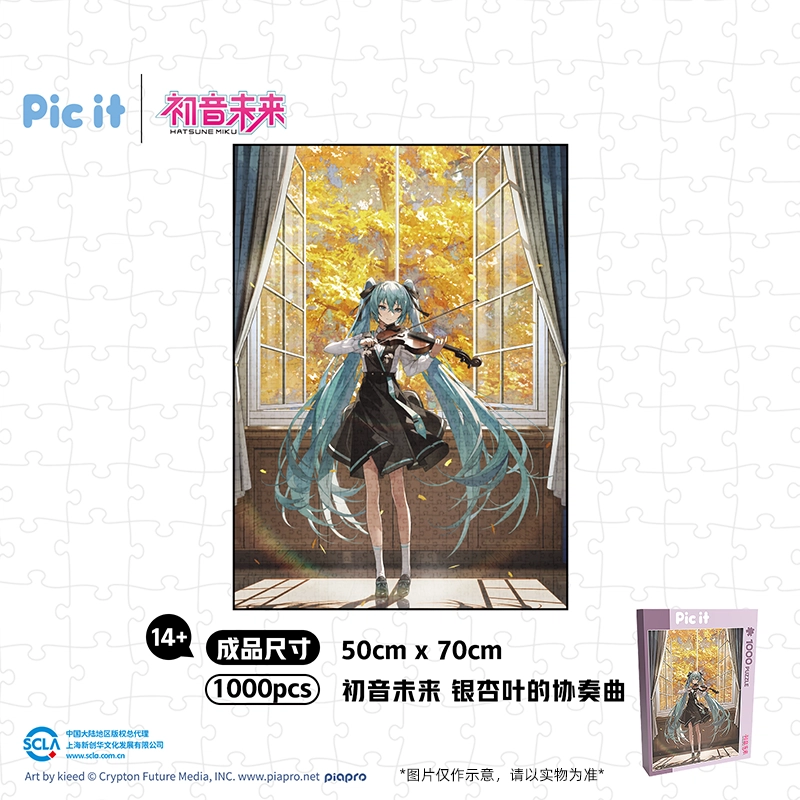 pic it 1000 PITCKS71312