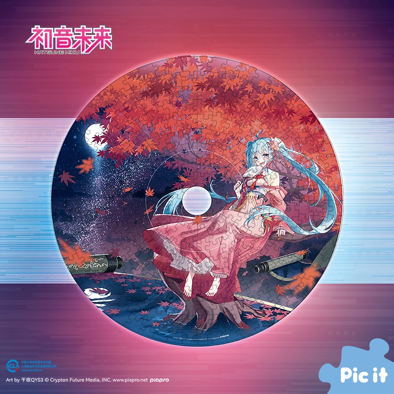pic it 312pcs PITCKS01303
