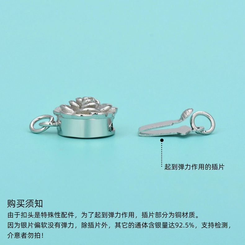 COISE diy S925