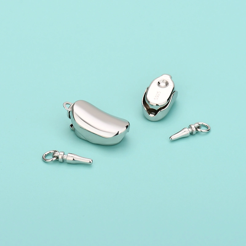 COISE diy S925
