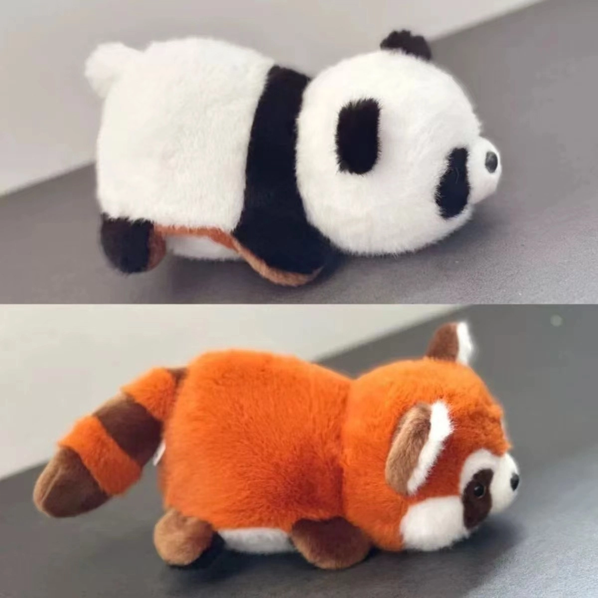 25cm35cm50cm