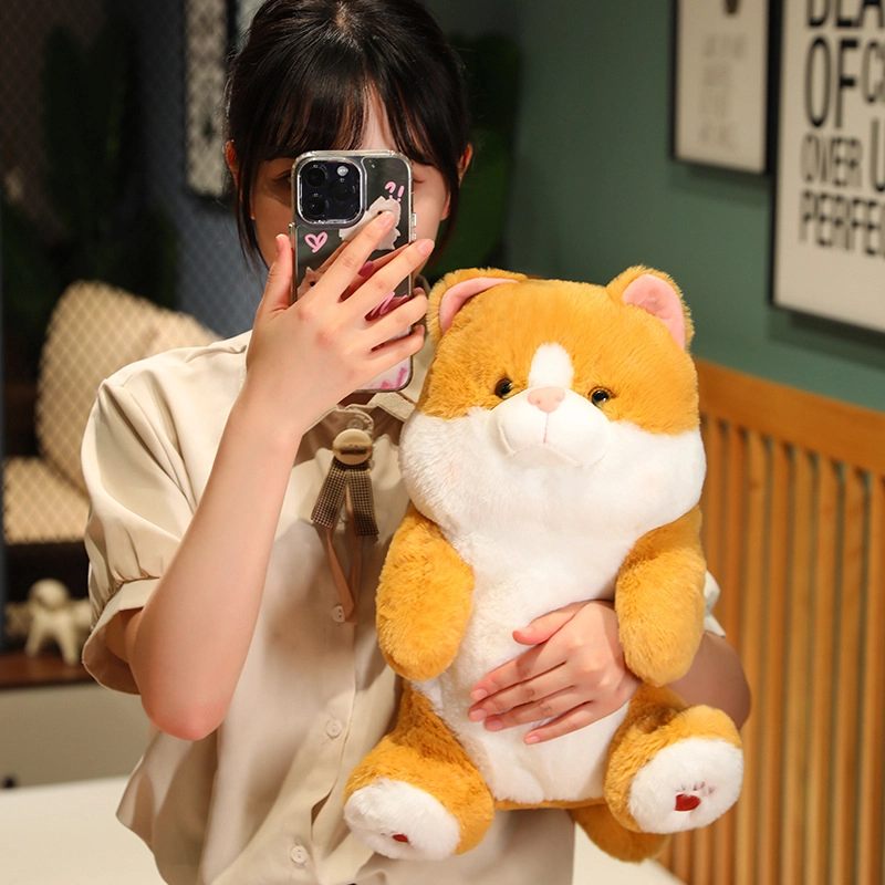 25cm35cm45cm