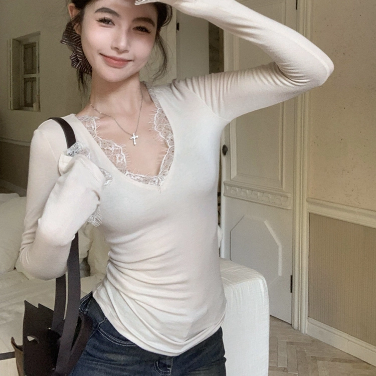 PZGE V T