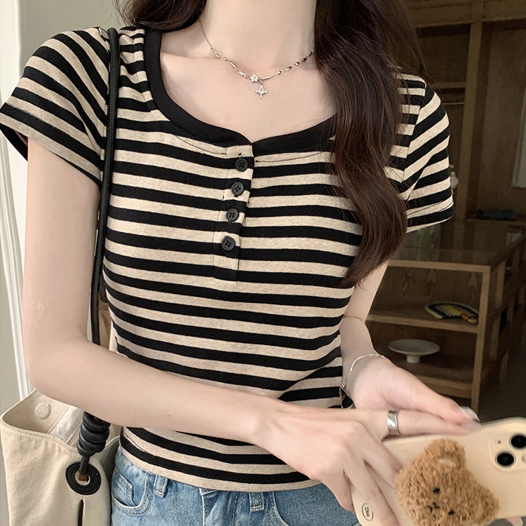 PZGE T