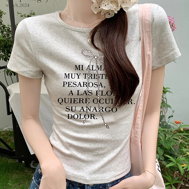 DGMZ T