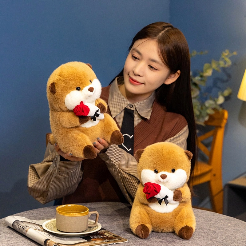 24cm