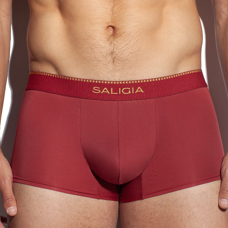 SALIGIA 140S 3