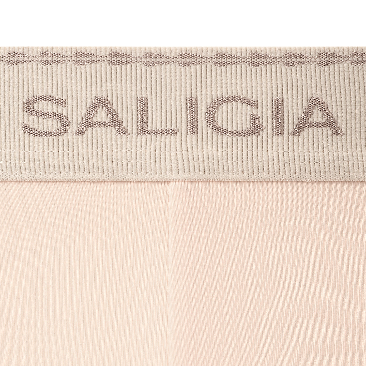 SALIGIA 100S