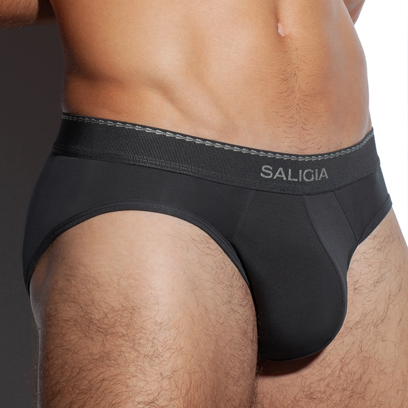 SALIGIA 3