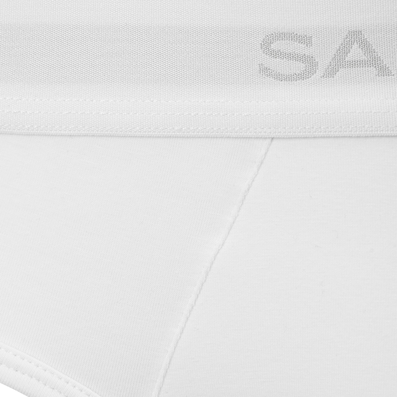 SALIGIA 3