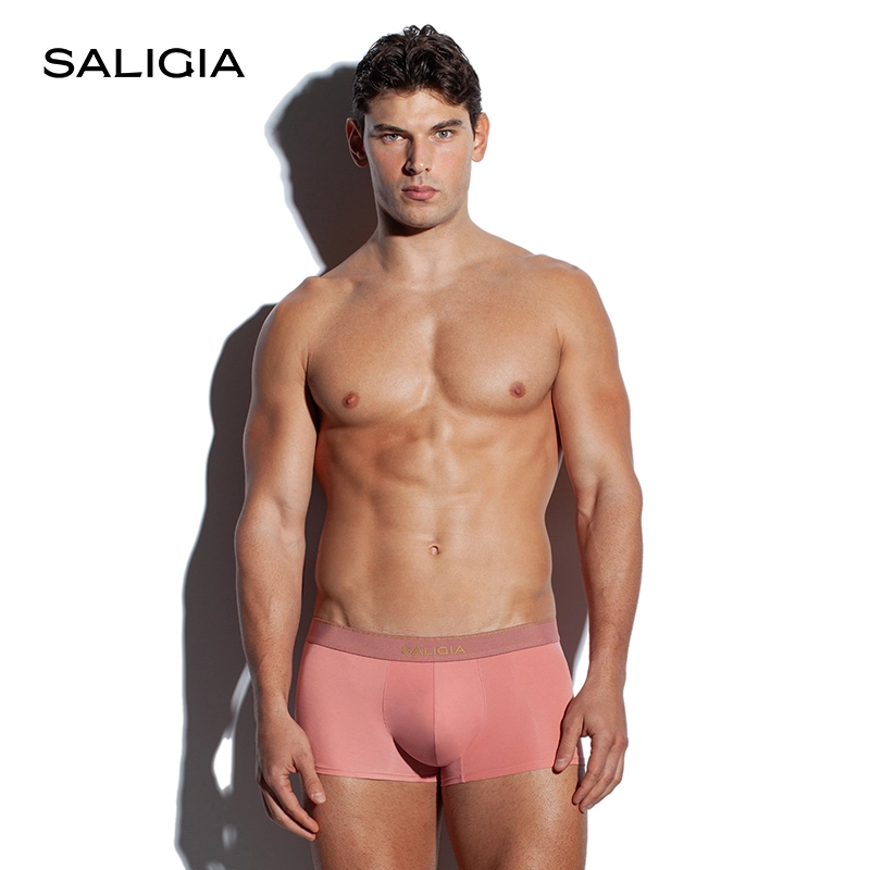 SALIGIA 3