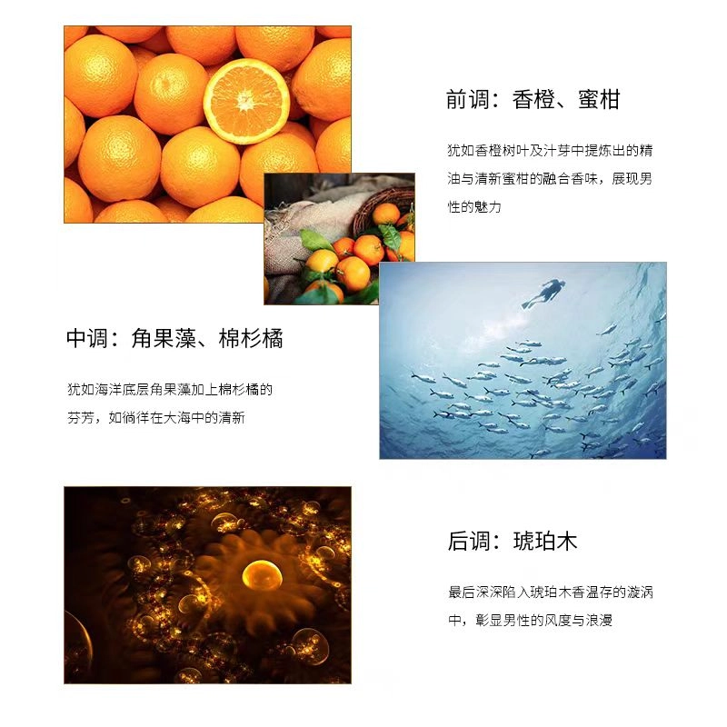 BASIC EDP
