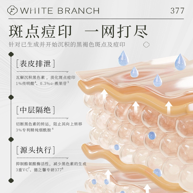 WHITEBRANCH 377 30ml30ml*230ml*3