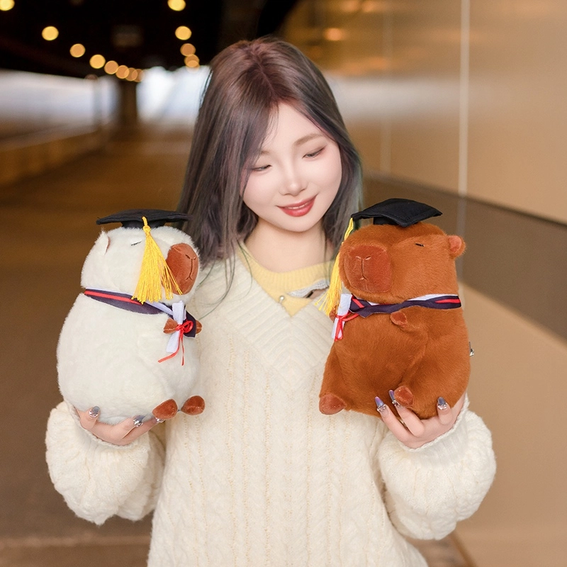 23cm