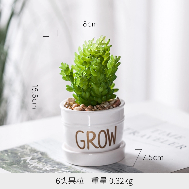 钵提 北欧装饰摆件 小盆栽 绿植仙人掌多肉植物创意植被展示  潮流衍生品