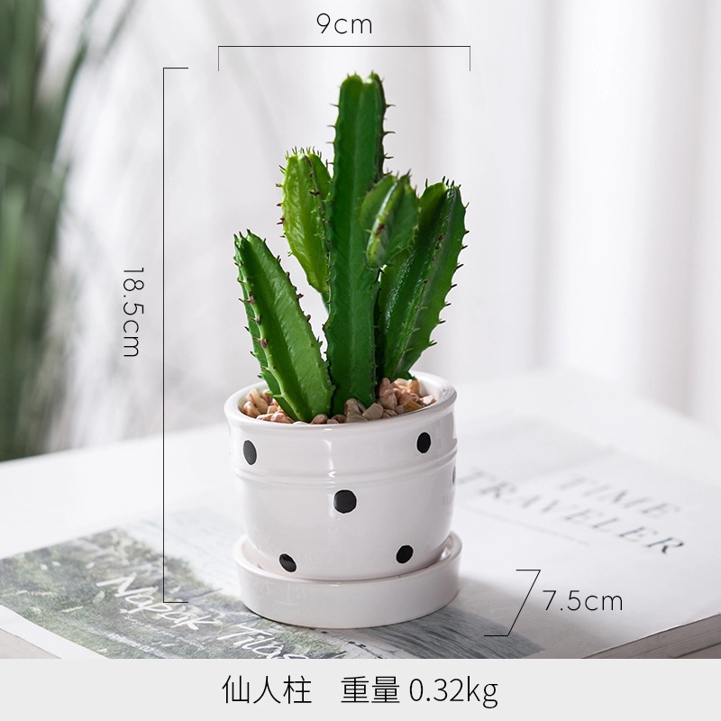 钵提 北欧装饰摆件 小盆栽 绿植仙人掌多肉植物创意植被展示  潮流衍生品