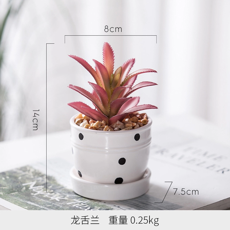 钵提 北欧装饰摆件 小盆栽 绿植仙人掌多肉植物创意植被展示  潮流衍生品