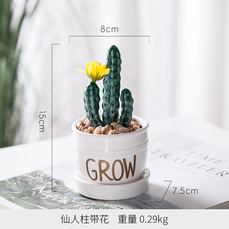 钵提 北欧装饰摆件 小盆栽 绿植仙人掌多肉植物创意植被展示  潮流衍生品