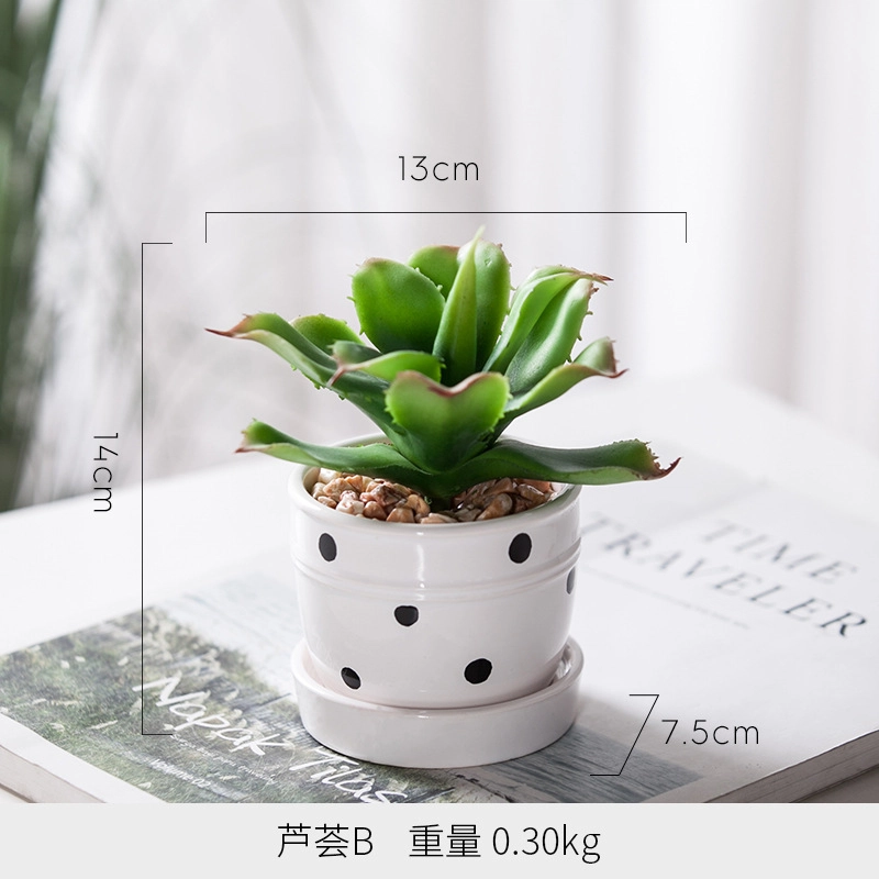钵提 北欧装饰摆件 小盆栽 绿植仙人掌多肉植物创意植被展示  潮流衍生品