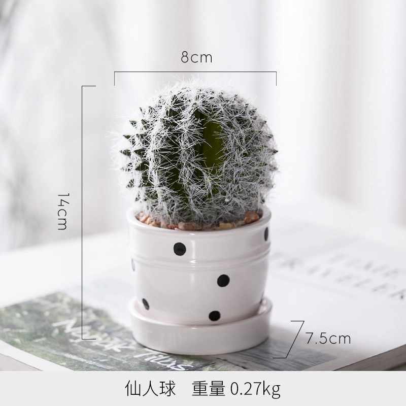 钵提 北欧装饰摆件 小盆栽 绿植仙人掌多肉植物创意植被展示  潮流衍生品