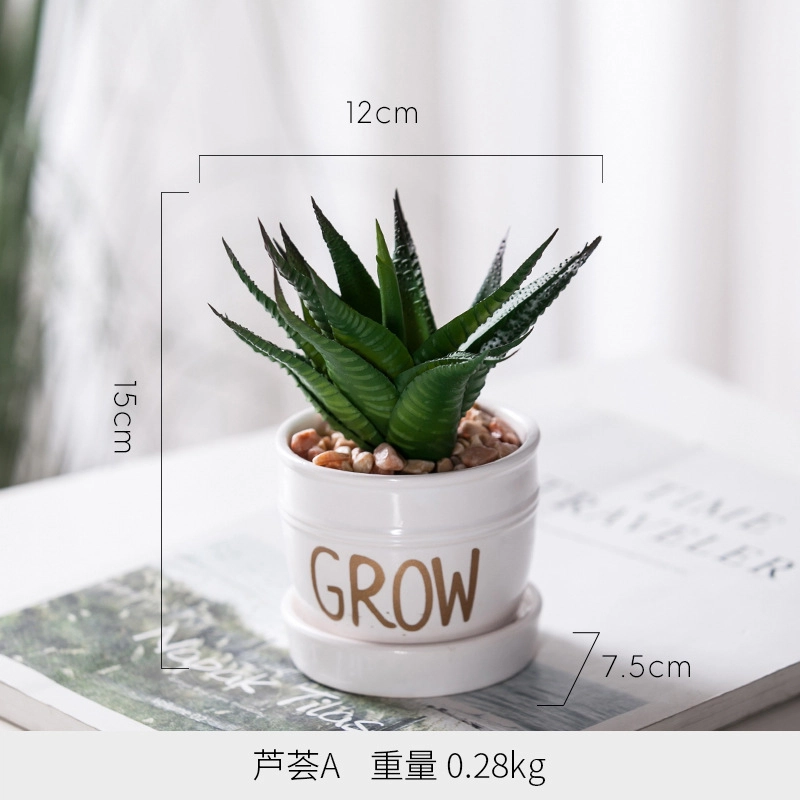 钵提 北欧装饰摆件 小盆栽 绿植仙人掌多肉植物创意植被展示  潮流衍生品
